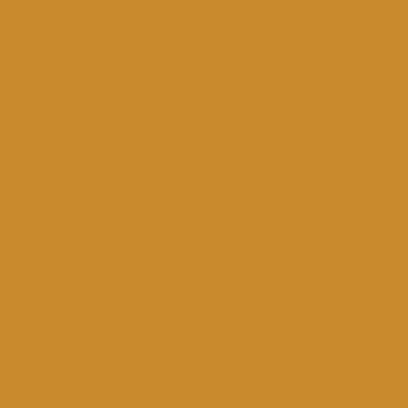 1980 Gamblin Oil Paints
