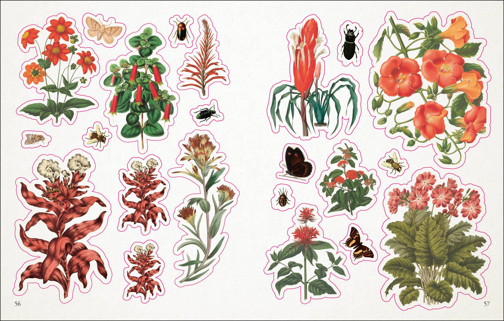 Sticker Book - Botanist's Sticker Anthology