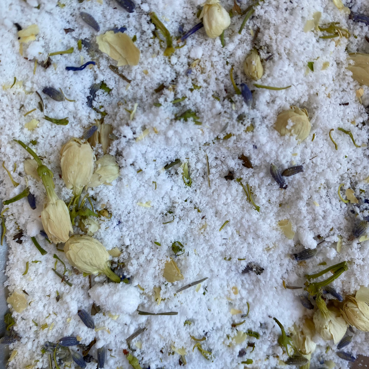 Botanical Fizzy Potion - Lavender - Manifesting Dreams Aid
