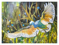 Egret Landing