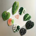 Botanical Leaf Magnets • Set of 8