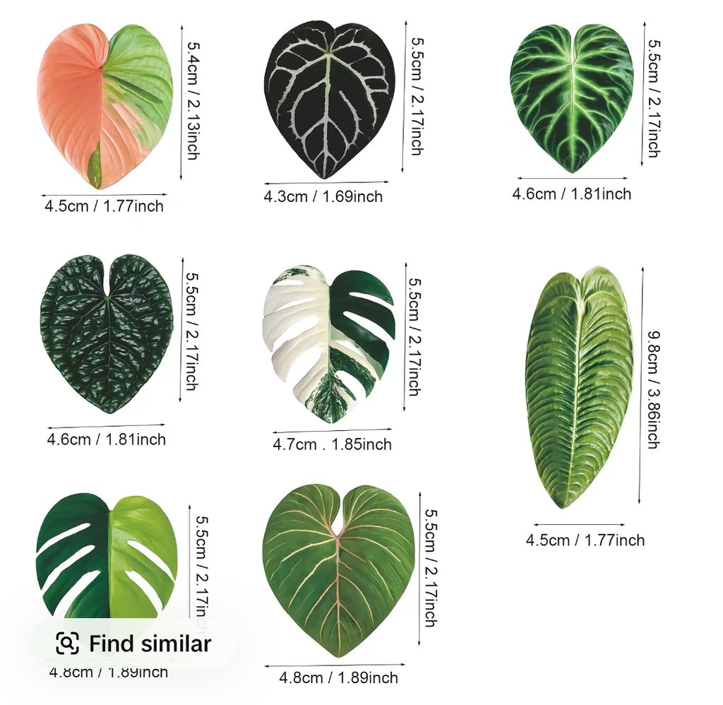 Botanical Leaf Magnets • Set of 8