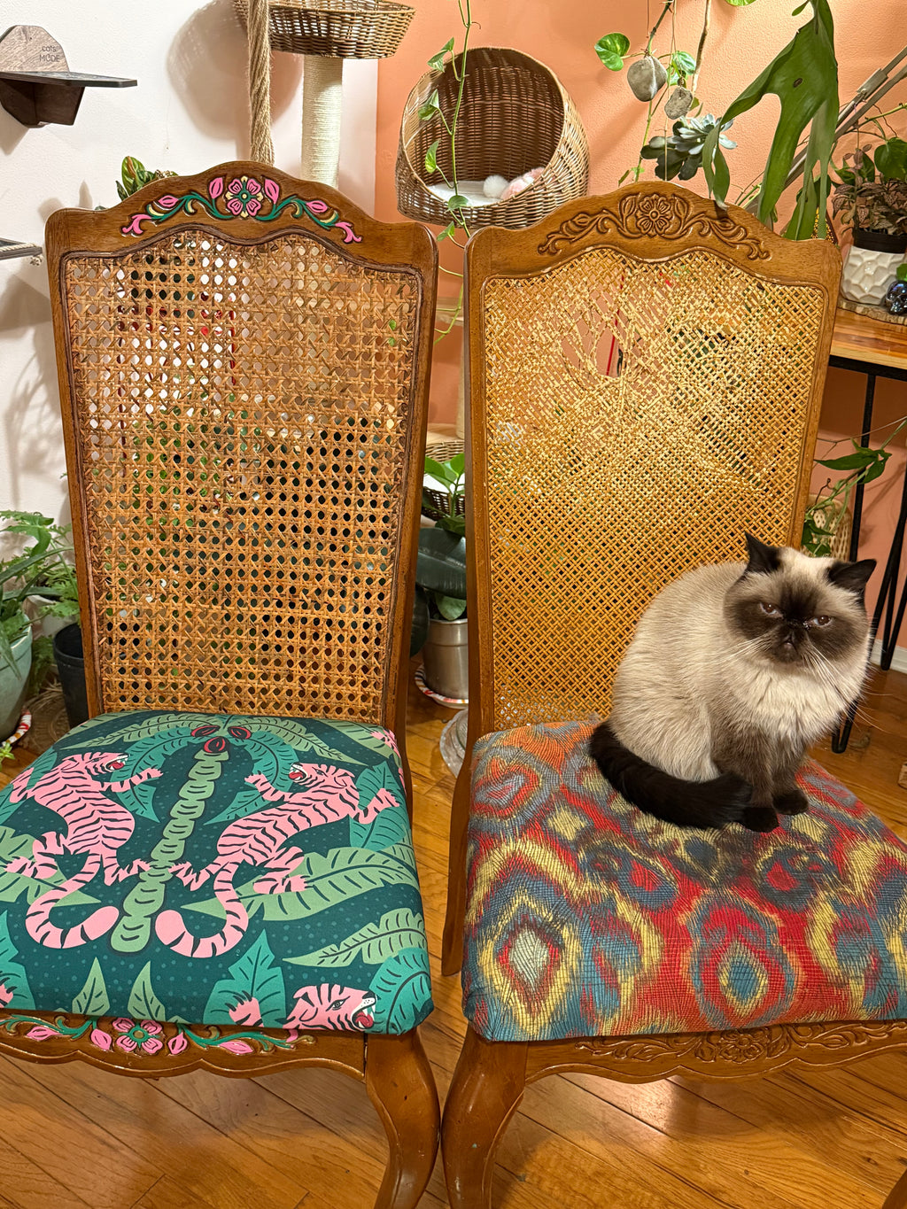 Tiger Chairs