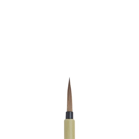 Bamboo Brushes