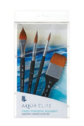 Princeton Aqua Elite Professional Box Set — Series 4850